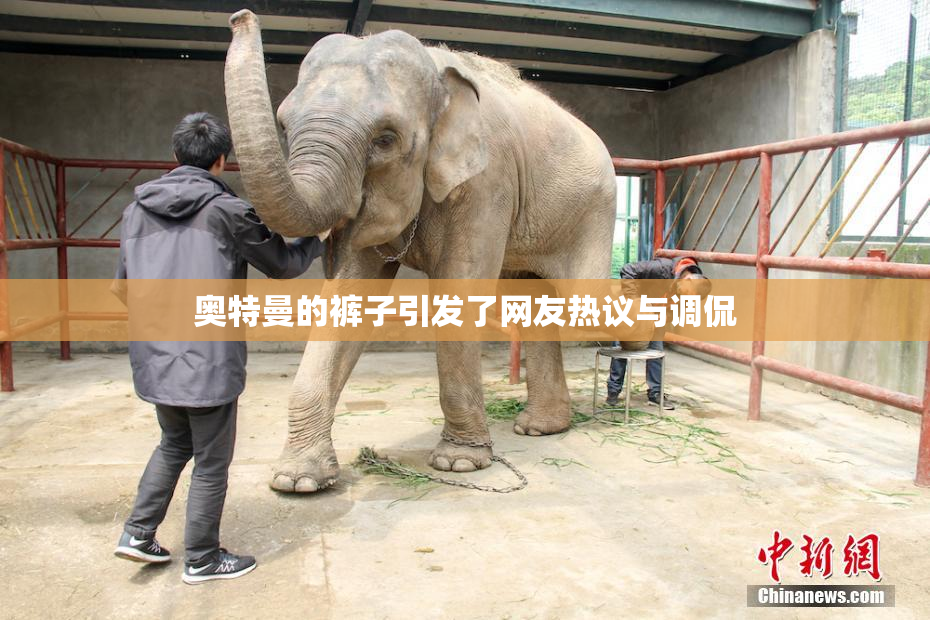 奥特曼的裤子引发了网友热议与调侃