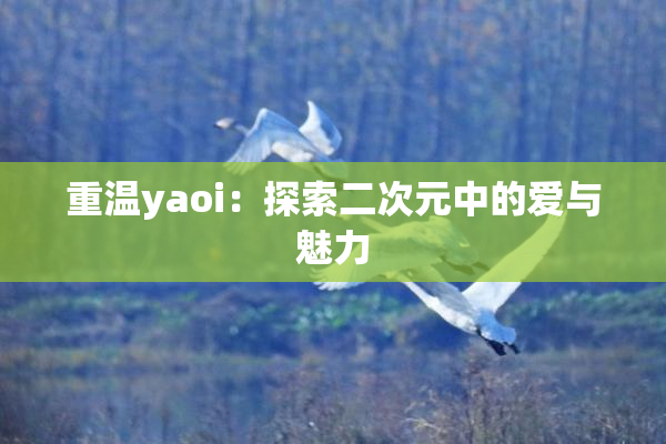 重温yaoi：探索二次元中的爱与魅力