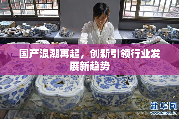 国产浪潮再起，创新引领行业发展新趋势