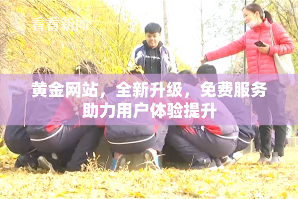 黄金网站，全新升级，免费服务助力用户体验提升