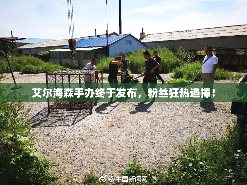 艾尔海森手办终于发布，粉丝狂热追捧！