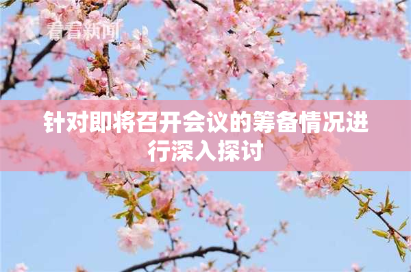 针对即将召开会议的筹备情况进行深入探讨