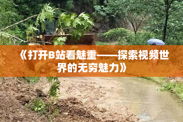《打开B站看魅重——探索视频世界的无穷魅力》