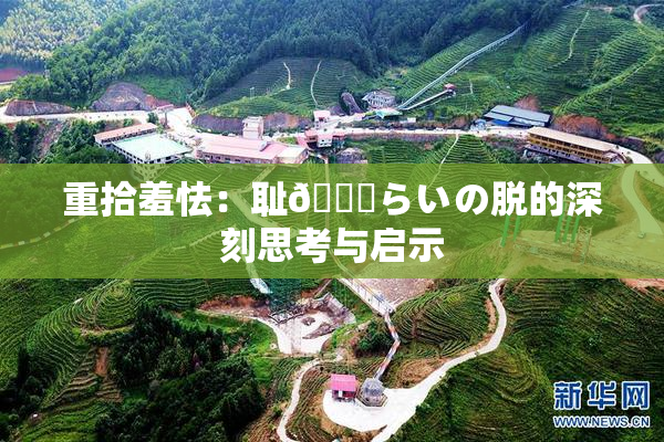 重拾羞怯：耻🍓らいの脱的深刻思考与启示