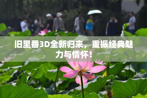 旧里番3D全新归来，重振经典魅力与情怀！