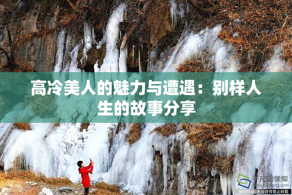 高冷美人的魅力与遭遇：别样人生的故事分享