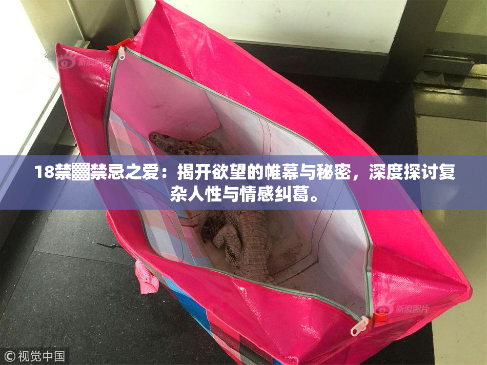18禁▓禁忌之爱：揭开欲望的帷幕与秘密，深度探讨复杂人性与情感纠葛。