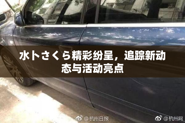 水卜さくら精彩纷呈，追踪新动态与活动亮点