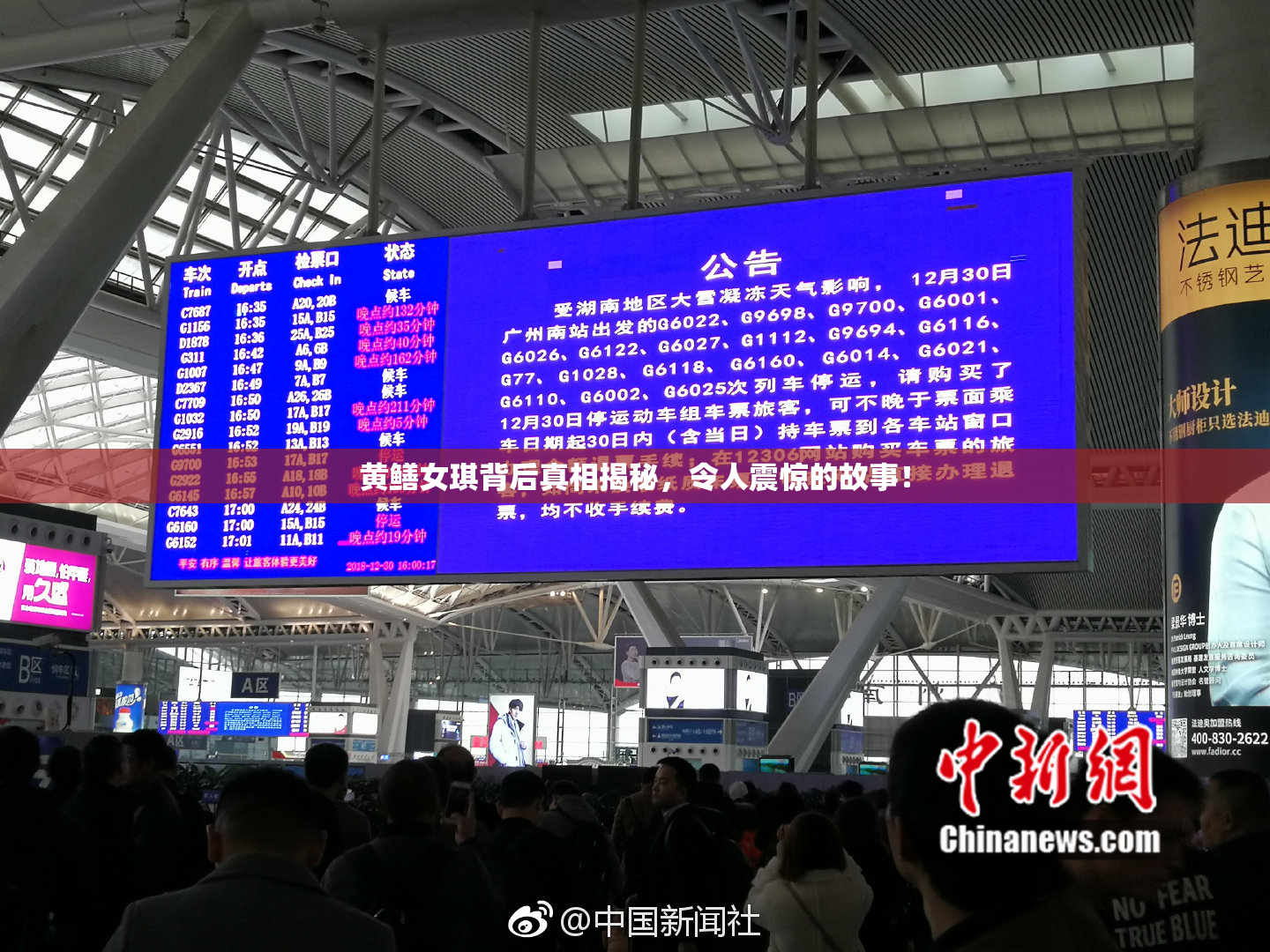 黄鳝女琪背后真相揭秘，令人震惊的故事！