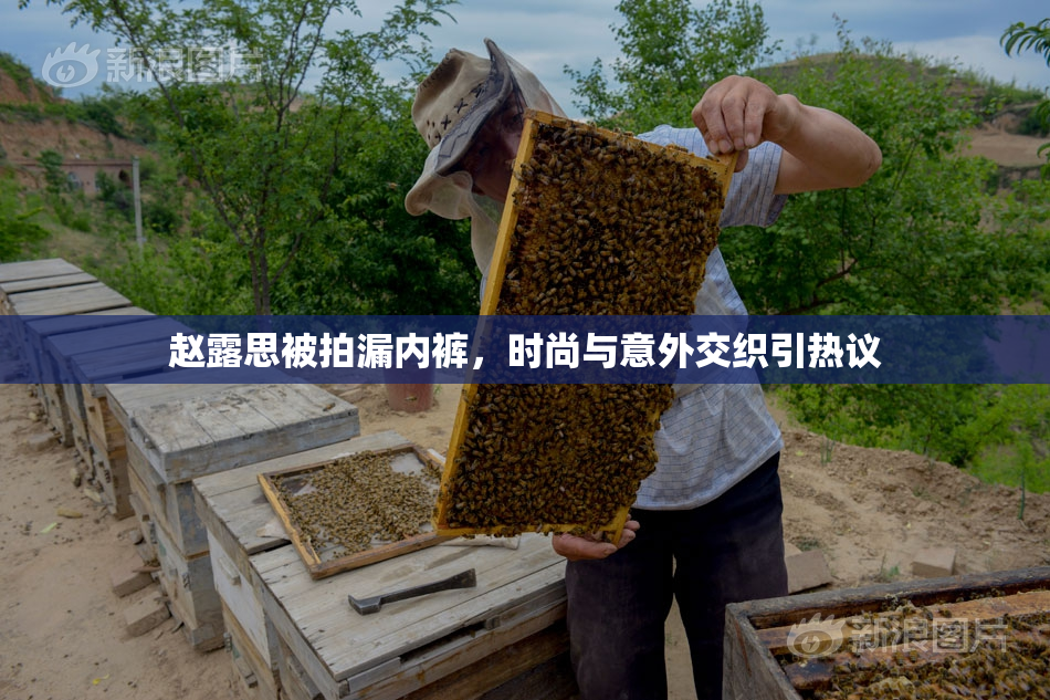 赵露思被拍漏内裤，时尚与意外交织引热议