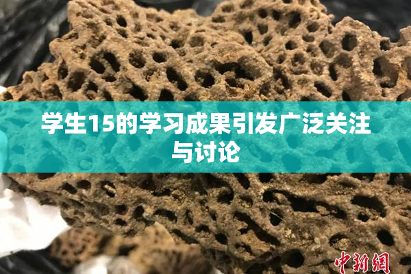 学生15的学习成果引发广泛关注与讨论