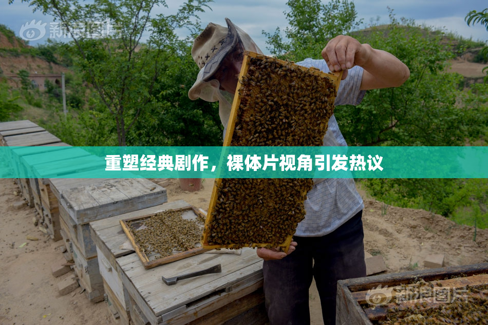 重塑经典剧作，裸体片视角引发热议
