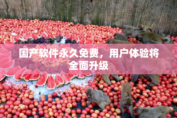国产软件永久免费，用户体验将全面升级