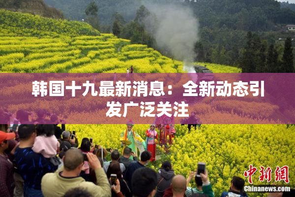 韩国十九最新消息：全新动态引发广泛关注