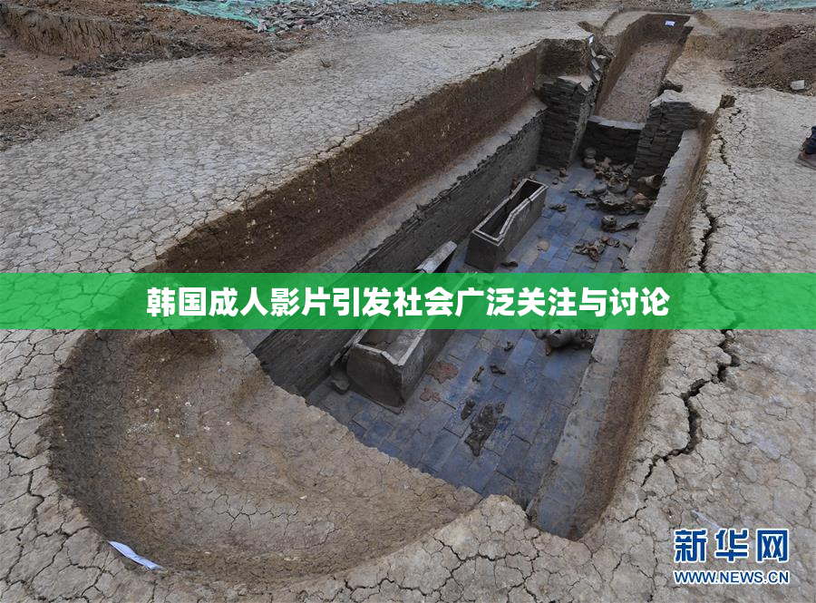 韩国成人影片引发社会广泛关注与讨论