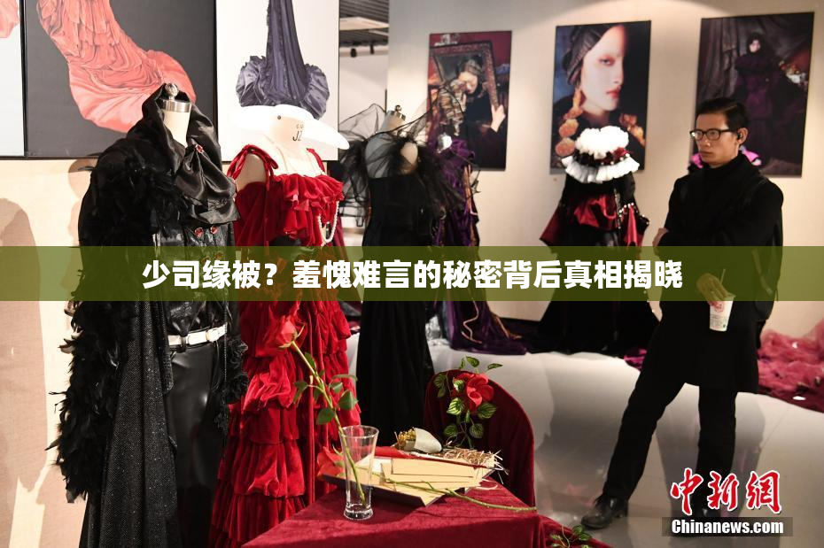 少司缘被？羞愧难言的秘密背后真相揭晓