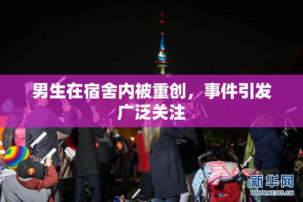男生在宿舍内被重创，事件引发广泛关注