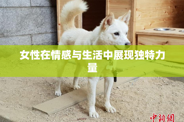 女性在情感与生活中展现独特力量
