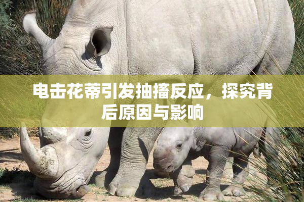 电击花蒂引发抽搐反应，探究背后原因与影响