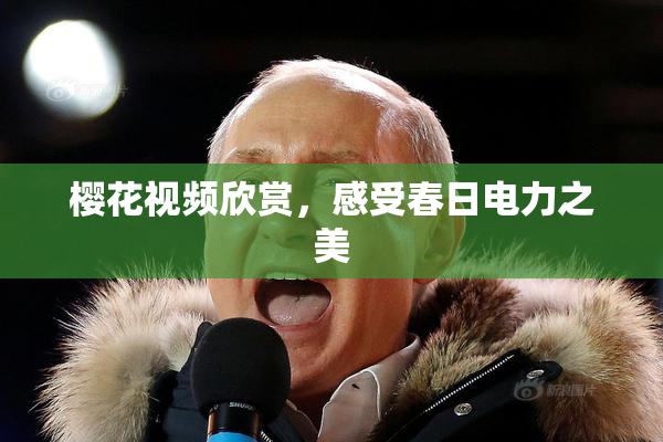 樱花视频欣赏，感受春日电力之美