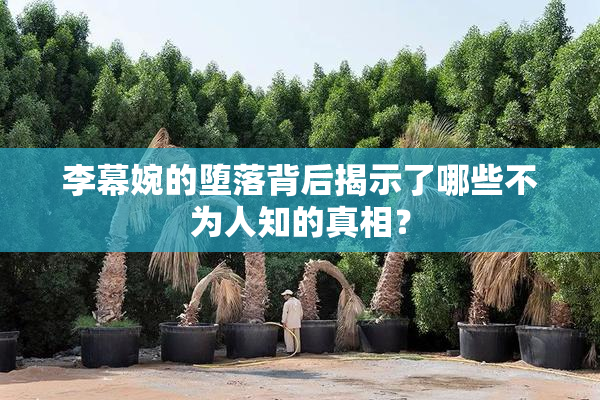 李幕婉的堕落背后揭示了哪些不为人知的真相？