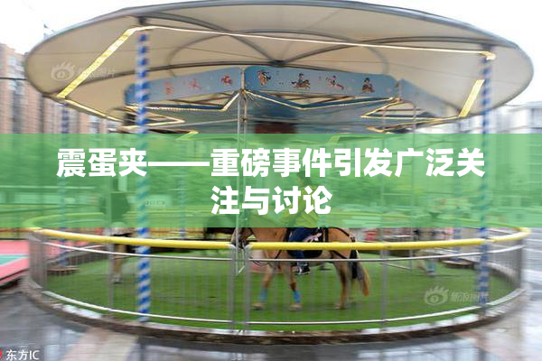 震蛋夹――重磅事件引发广泛关注与讨论