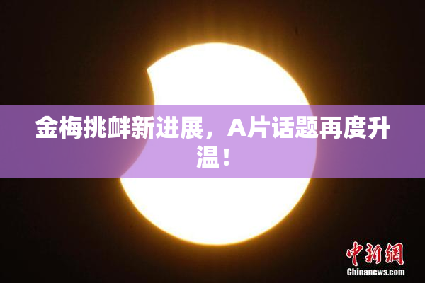 金梅挑衅新进展，A片话题再度升温！