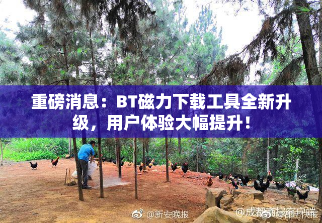重磅消息：BT磁力下载工具全新升级，用户体验大幅提升！