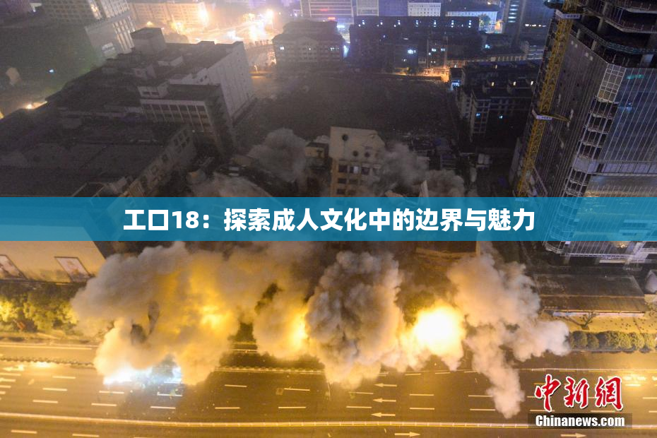 工口18：探索成人文化中的边界与魅力