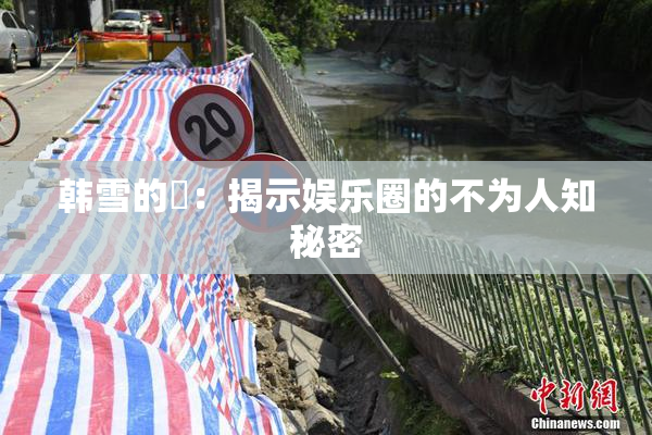 韩雪的婬：揭示娱乐圈的不为人知秘密