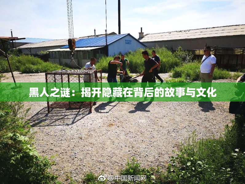 黑人之谜：揭开隐藏在背后的故事与文化