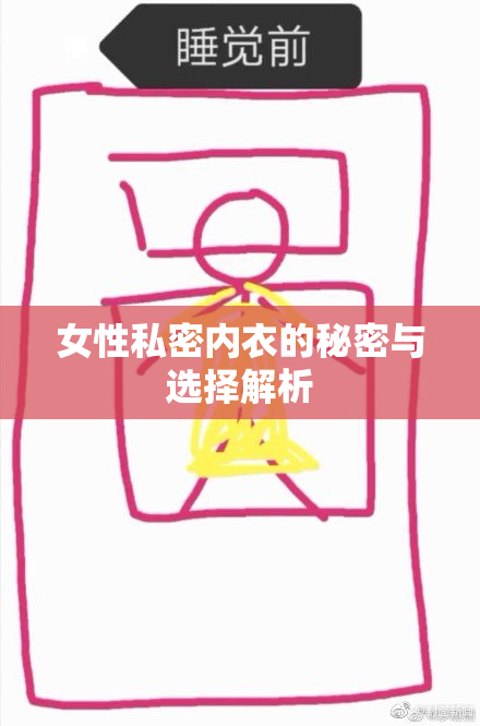 女性私密内衣的秘密与选择解析