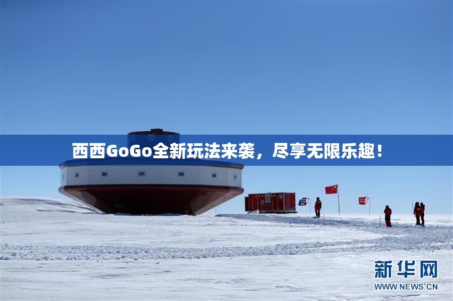 西西GoGo全新玩法来袭，尽享无限乐趣！