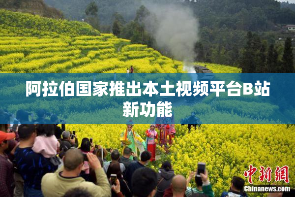 阿拉伯国家推出本土视频平台B站新功能