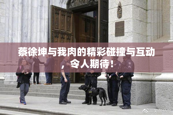 蔡徐坤与我肉的精彩碰撞与互动，令人期待！