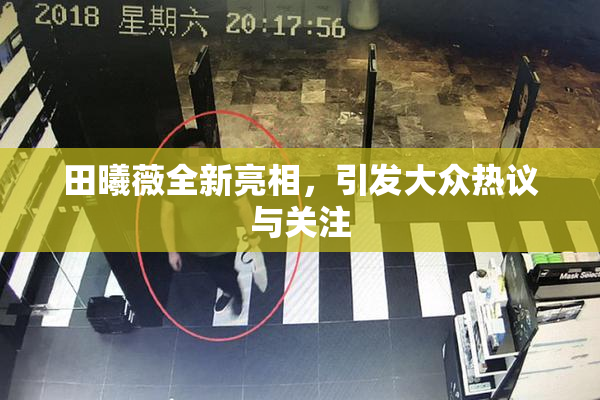 田曦薇全新亮相，引发大众热议与关注