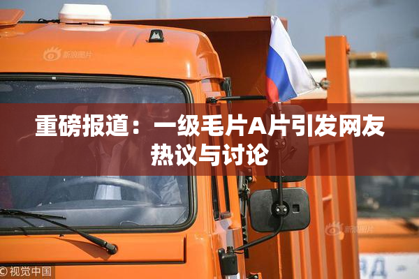 重磅报道：一级毛片A片引发网友热议与讨论