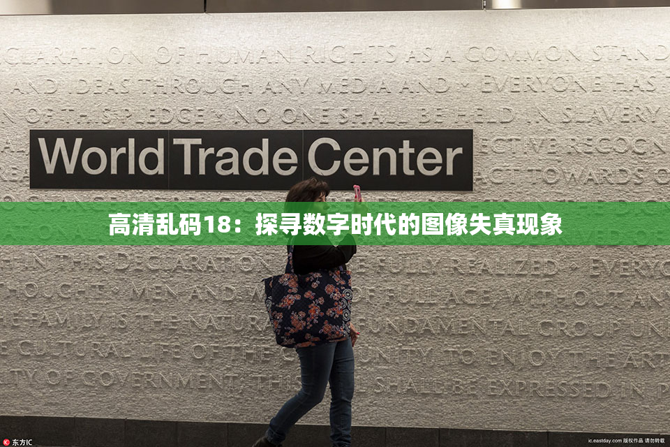 高清乱码18：探寻数字时代的图像失真现象