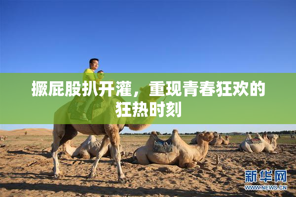 撅屁股扒开灌，重现青春狂欢的狂热时刻