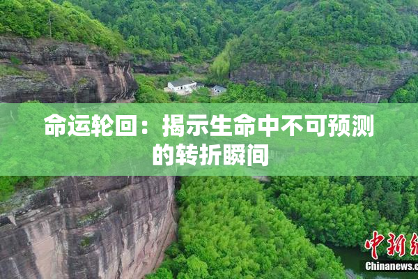 命运轮回：揭示生命中不可预测的转折瞬间