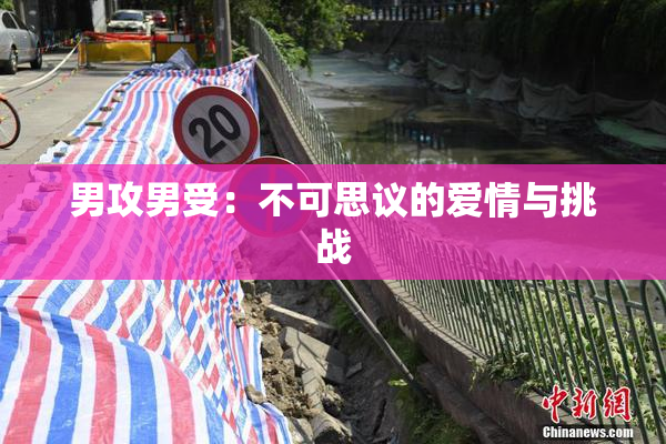 男攻男受：不可思议的爱情与挑战