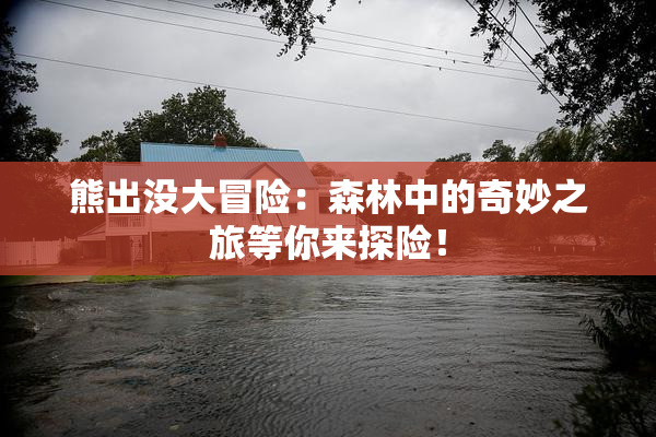 熊出没大冒险：森林中的奇妙之旅等你来探险！