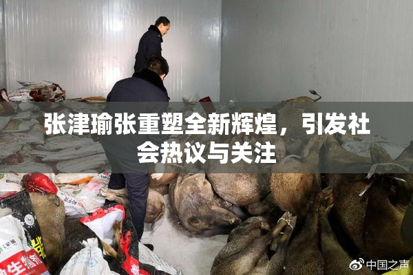 张津瑜张重塑全新辉煌，引发社会热议与关注