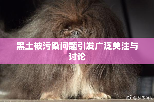 黑土被污染问题引发广泛关注与讨论