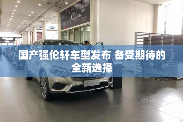 国产强伦轩车型发布 备受期待的全新选择