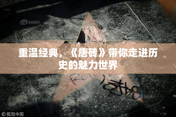 重温经典，《唐砖》带你走进历史的魅力世界