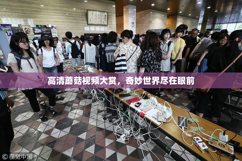 高清蘑菇视频大赏，奇妙世界尽在眼前