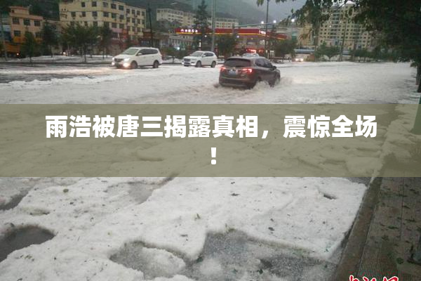 雨浩被唐三揭露真相，震惊全场！