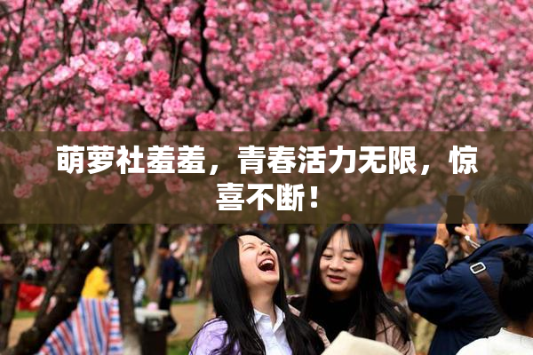 萌萝社羞羞，青春活力无限，惊喜不断！