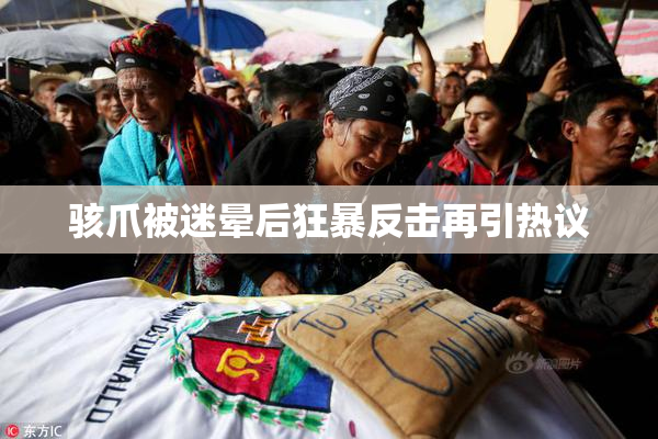 骇爪被迷晕后狂暴反击再引热议